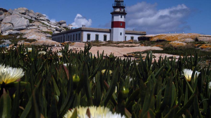 La isla de Sálvora, en el Parque Illas Atlánticas.  // Iñaki Abella