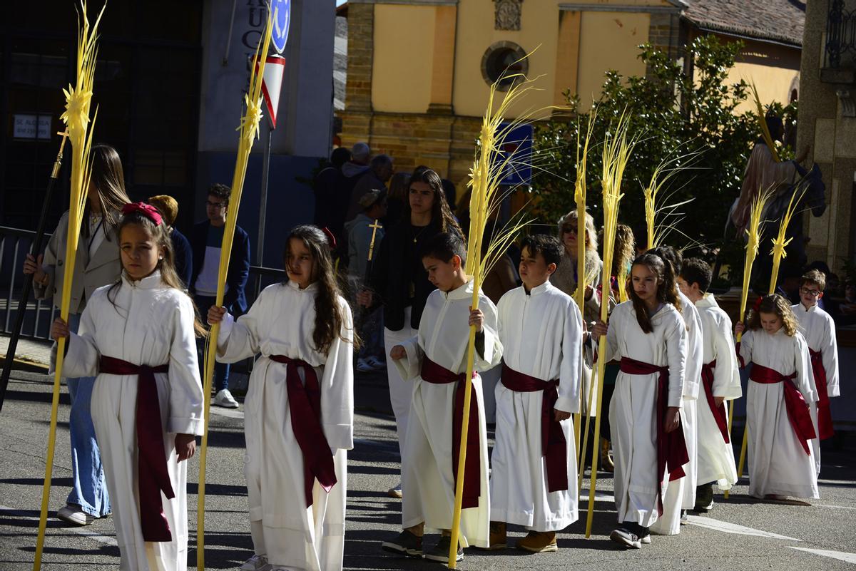 GALERIA | Procesión de Jesús en la Borriquilla en Benavente GALERIA | Procesión de Jesús en la Borriquilla en Benavente