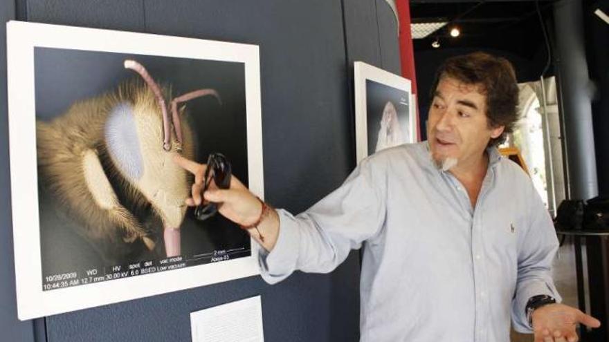 Luis Monje explica una de las obras de &#039;Capturando lo invisible&#039;, ayer en la Casa de las Ciencias. / rubén ardao