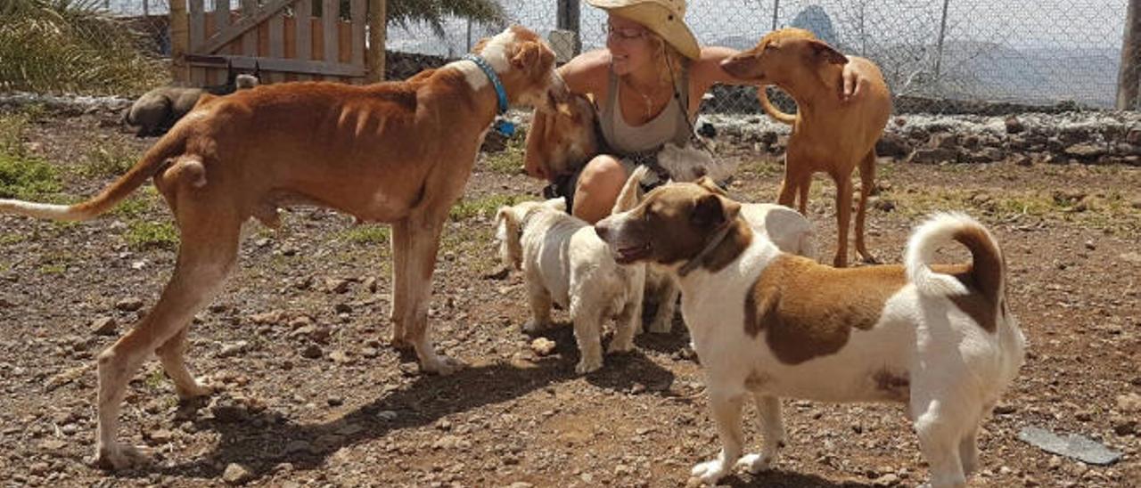 Auri Saavedra con algunos de sus perros en su terreno, donde prevé levantar el hogar de los podencos.