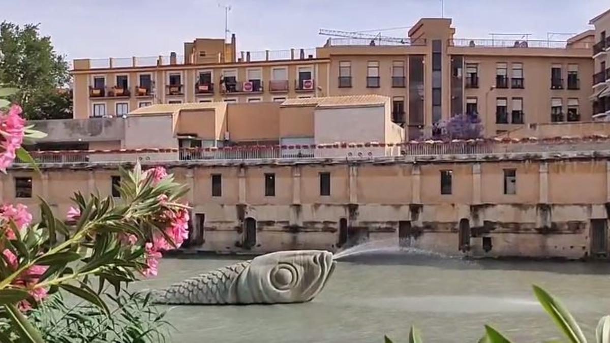 La sardina del río, este miércoles