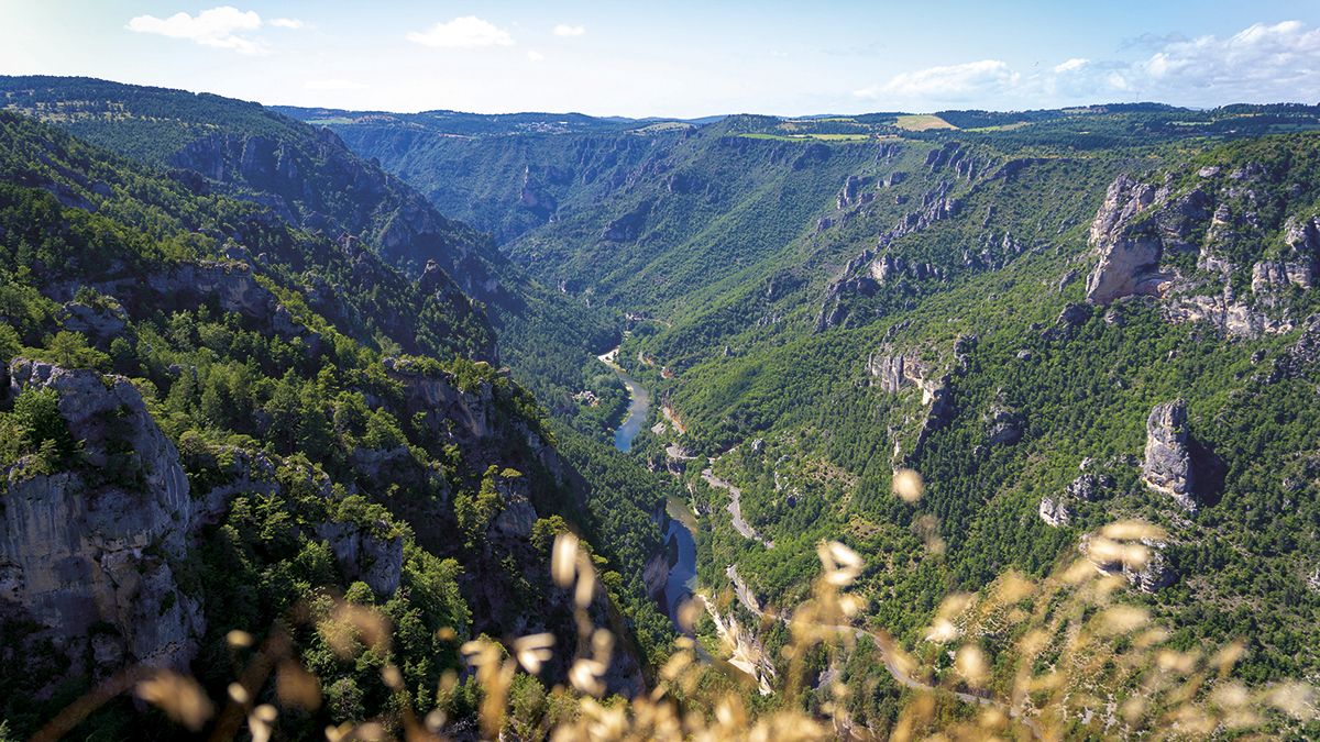 Las Gargantas del Tarn, un cañón de 50 kilómetros con acantilados de hasta 500 metros de altura, entre Lozère y Aveyron
