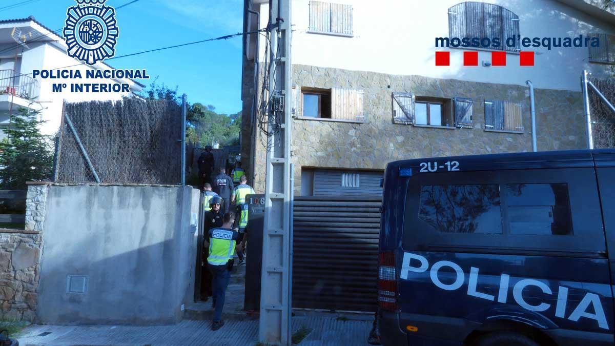 Desmantelada en Mediona una plantación interior de marihuana destinada a la exportación