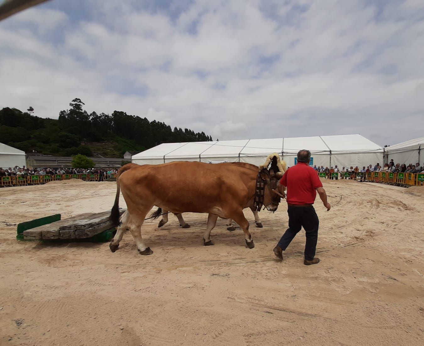 El público llenó la Feria de Vegadeo durante el fin de semana