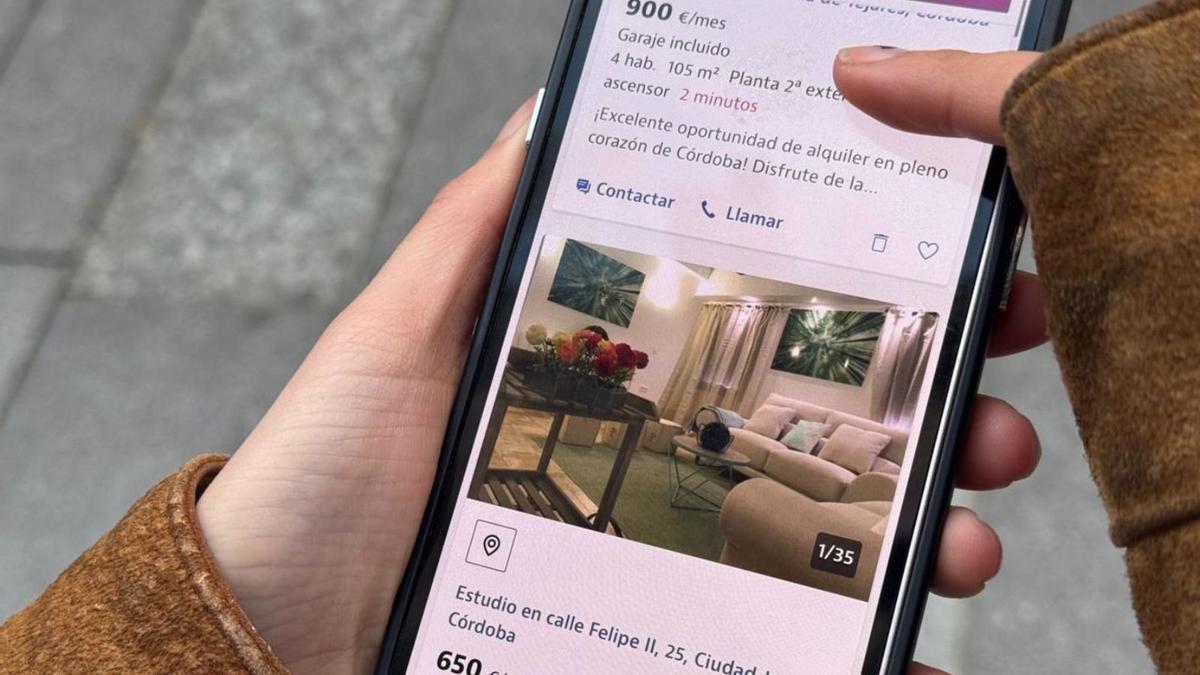 Una joven consulta un portal inmobiliario.