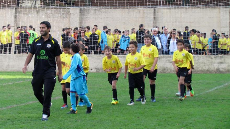 La gespa artificial al camp de Castelló es podria col·locar al març