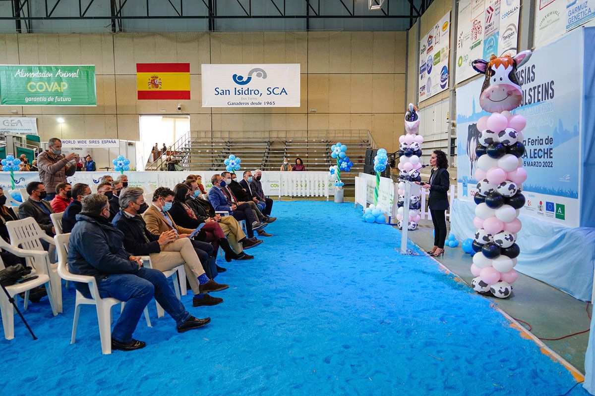 Feria de ganado vacuno frisón en Dos Torres