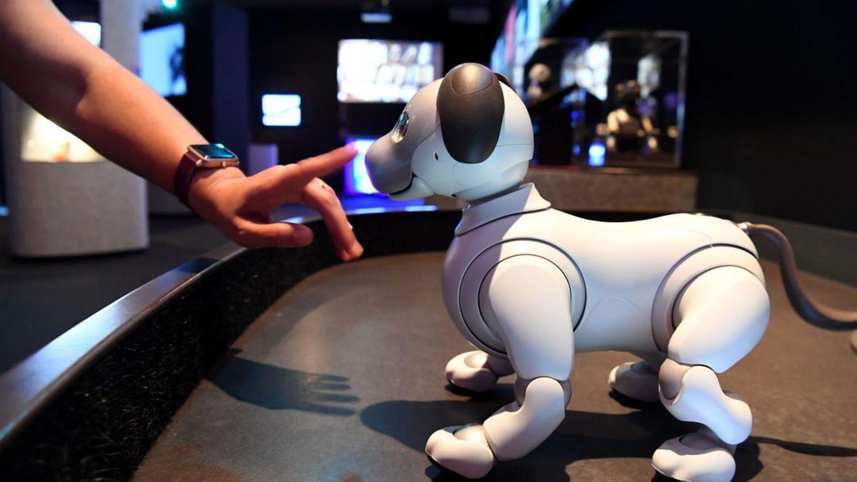 El perro Aibo, desarrollado por Sony, ayer, en la presentación de ‘AI: More than Human’, en la sede de Afundación. 