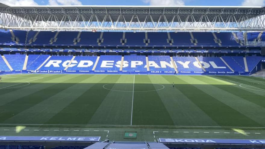 La afición del Castellón, en un campo del máximo rango de la UEFA