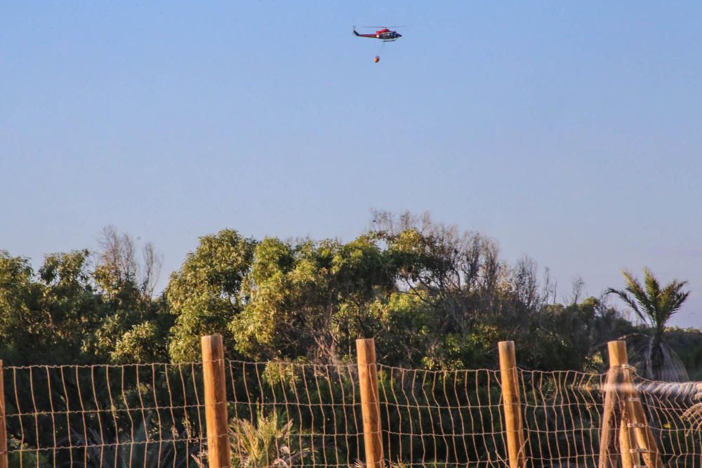 Labores de extinción del nuevo incendio en Guardamar del Segura, el cuarto en diez dias