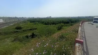 El Estado ofrece la Laguna de Los Prados al Ayuntamiento de Málaga