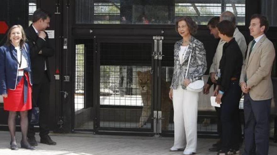 La reina Sofía amadrina la ampliación del centro de grandes felinos de Villena