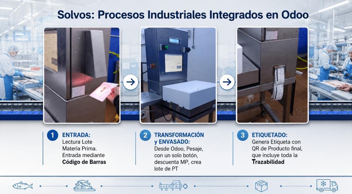 odoo solvos