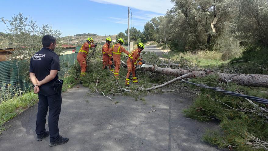 La caída de un árbol deja sin luz a varios chalets en el Carraixet