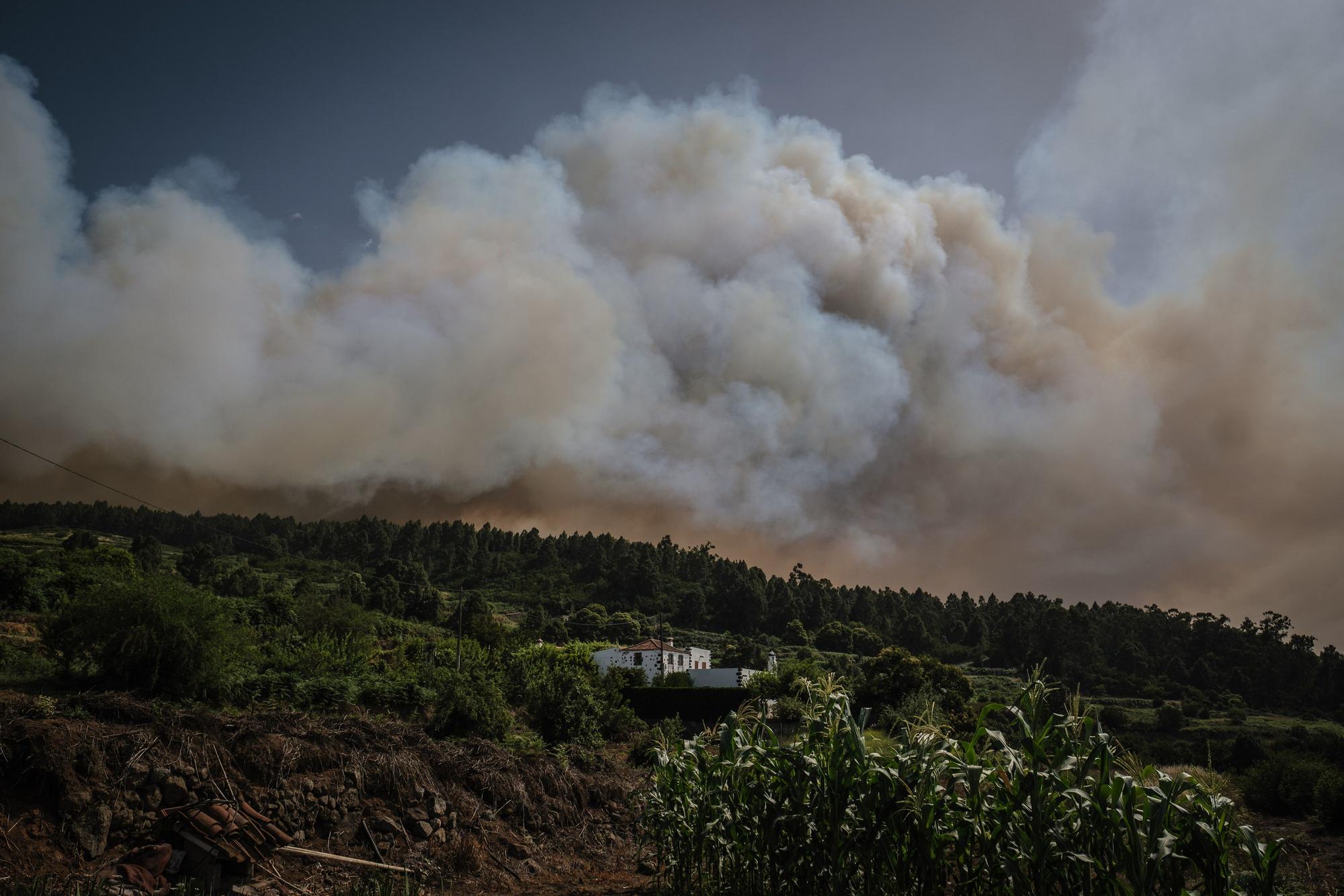 El incendio forestal de Tenerife, en imágenes