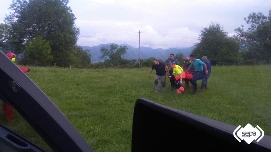 Una vaca embiste y cornea a un ganadero en Nava