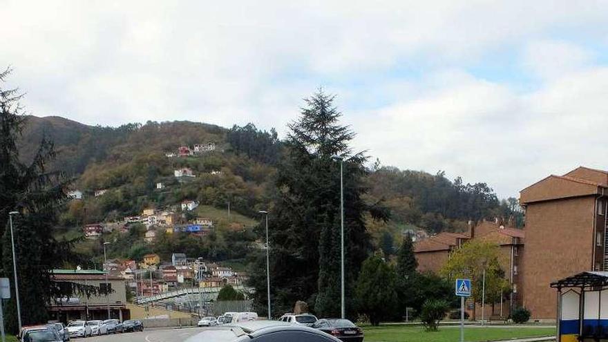 Un contenedor de orgánico (en primer término) y otro convencional en el barrio mierense de Vega de Arriba.