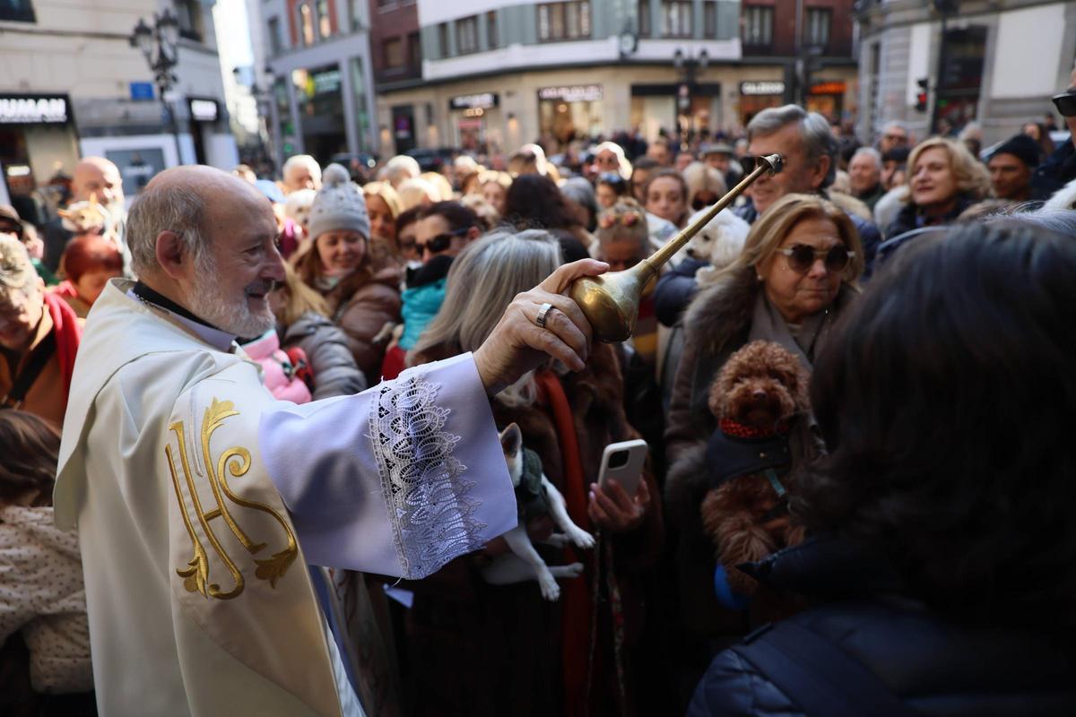 EN IMÁGENES: Oviedo bendice a sus mascotas por San Antón