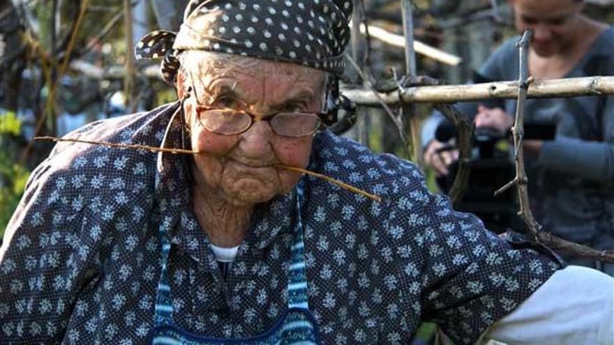 Palmira Paramos Filgueira, la abuela de Tui, atando la viña.