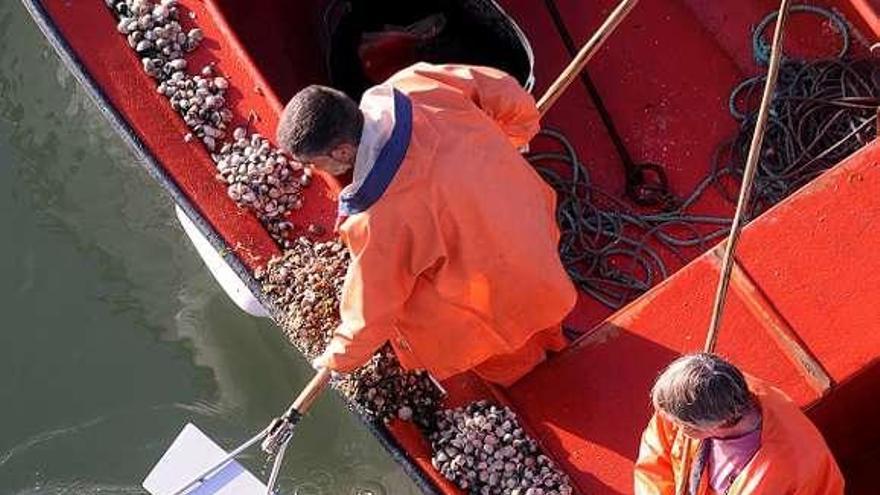 Embarcaciones de marisqueo en la ría de Arousa.  // Iñaki Abella