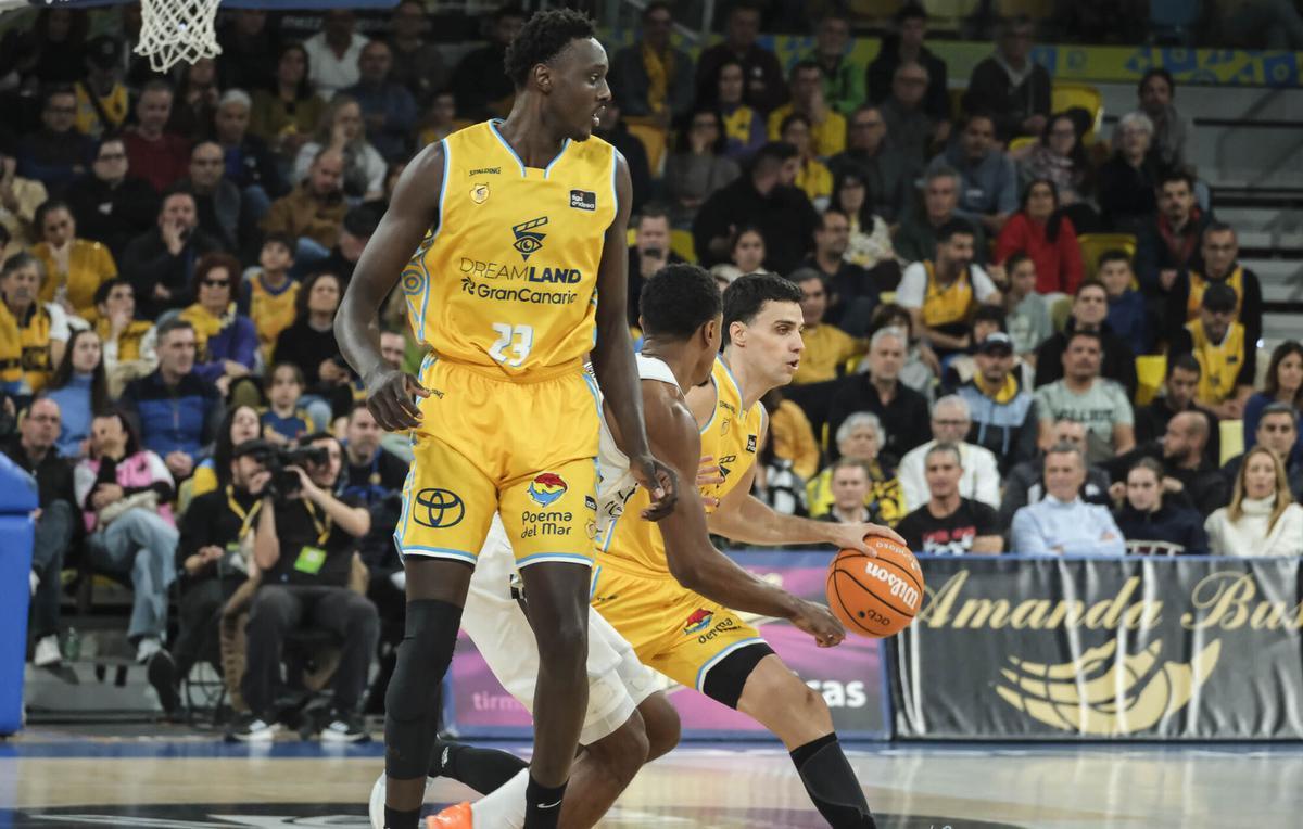 Liga Endesa: Gran Canaria - Real Madrid Liga Endesa: Gran Canaria - Real Madrid