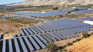 El decreto de renovables enciende el campo y el ecologismo: "No permitiremos expropiaciones"