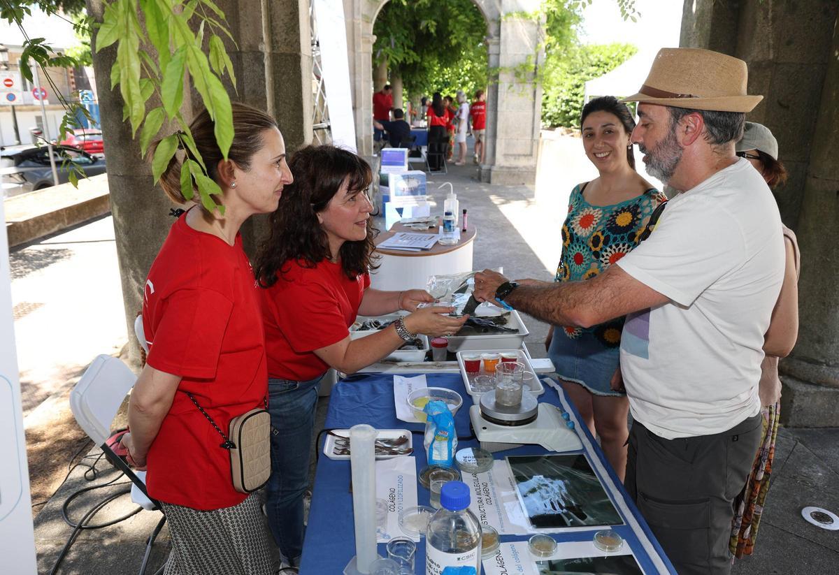La Alameda de Bouzas, convertida en un gran laboratorio al aire libre.