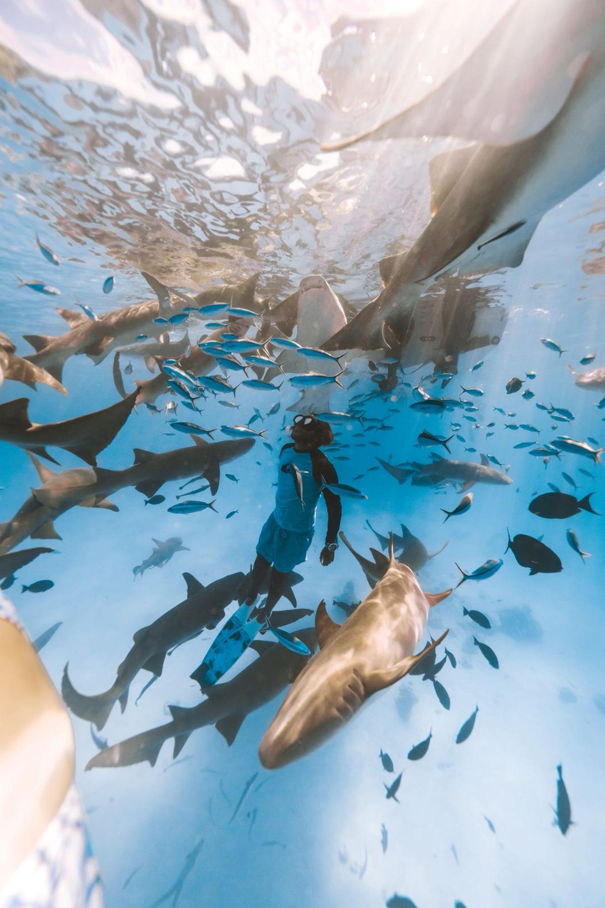Yuri Alves, nadando rodeado de tiburones y más peces en Maldivas, donde es monitor de excursiones.