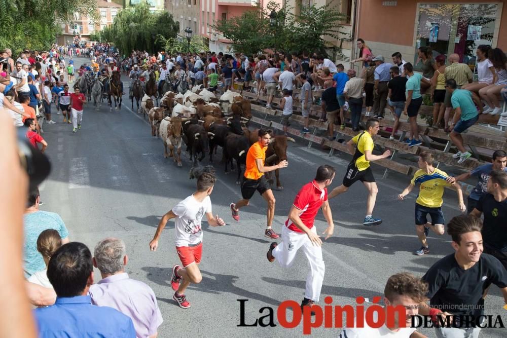 Séptimo encierro en Moratalla