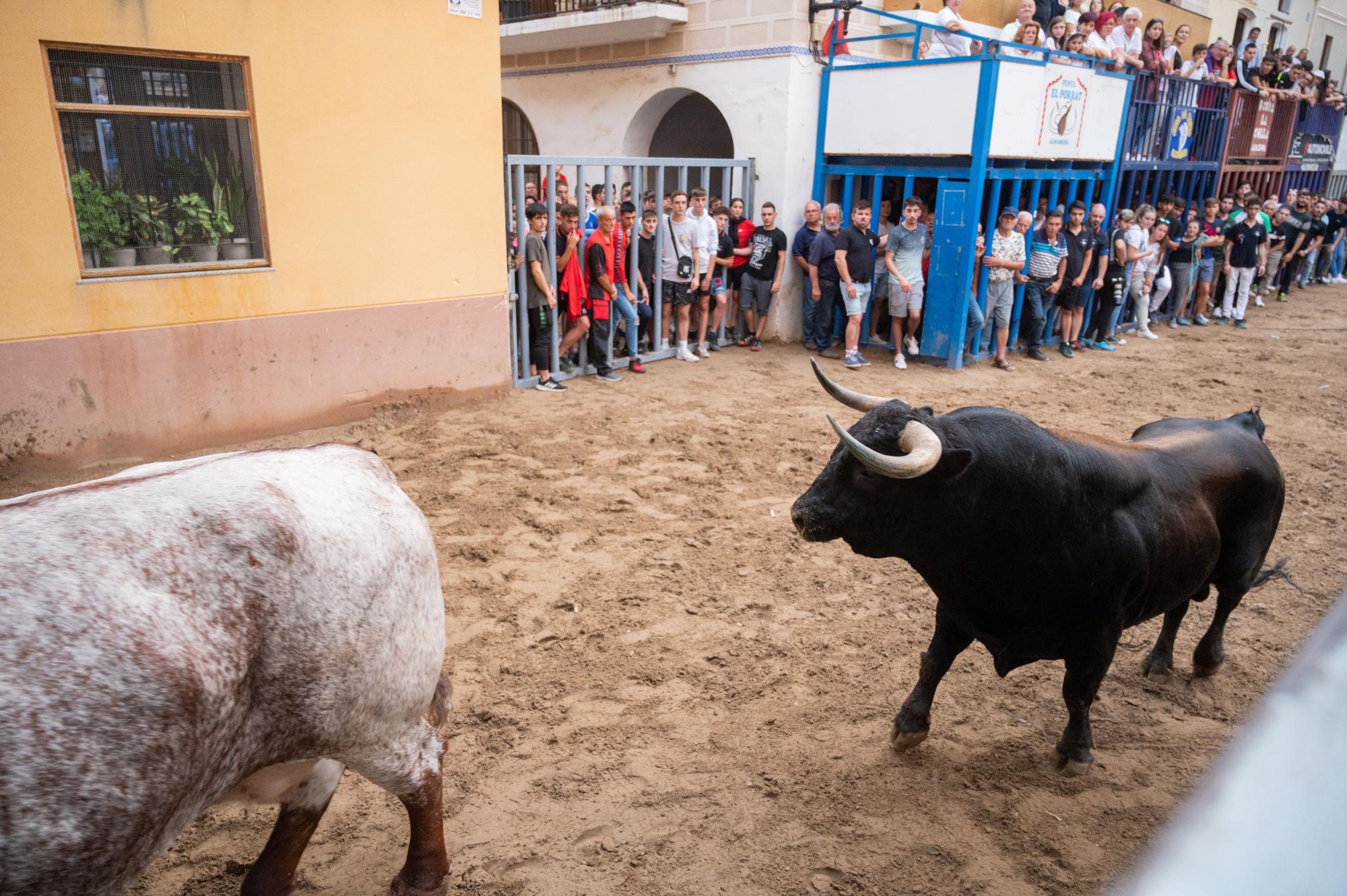 La tarde taurina del martes de las fiestas de Almassora, en imágenes