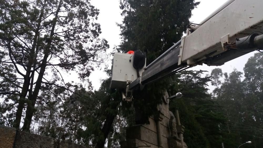 Efectos del temporal en O Morrazo