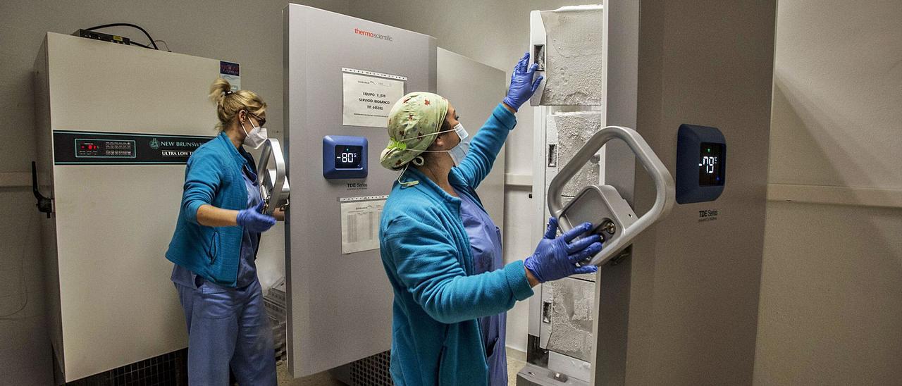 Ultracongeladores del Biobanco del Instituto Isabial, instalados en los sótanos del Hospital General de Alicante. | PILAR CORTÉS