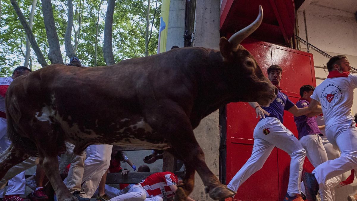 Quinto encierro de San Fermín con toros de Jandilla