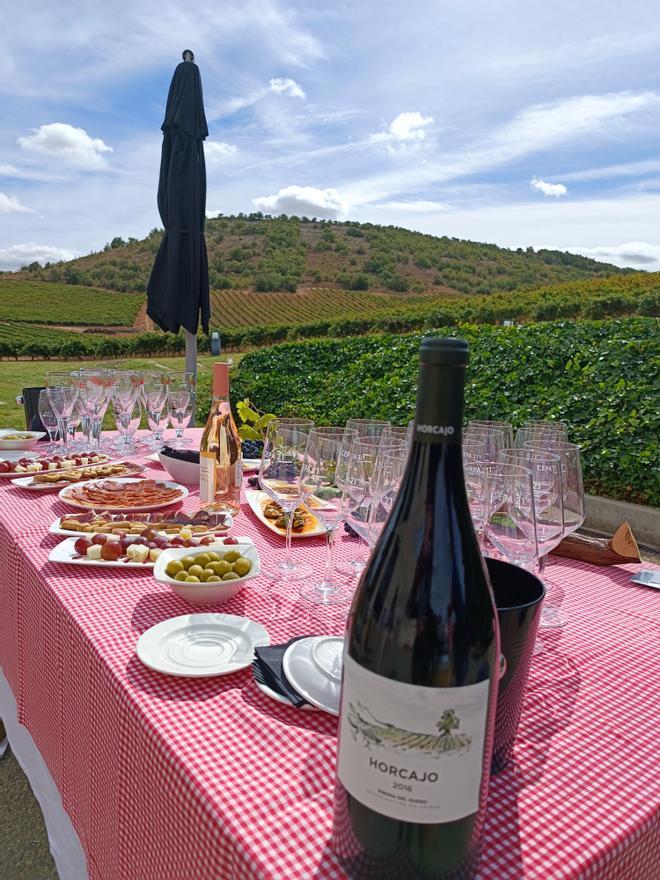 Picnic en Cepa 21, Ribera del Duero, Valladolid