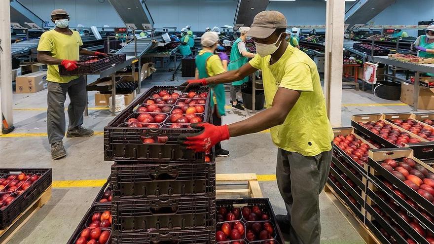 Restringida la entrada de temporeros de países con las fronteras cerradas con España