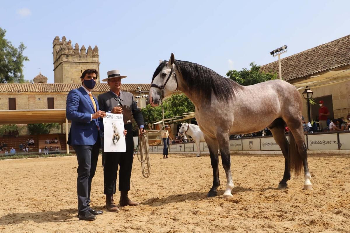 Cabalcor 2020: entrega de premios especiales