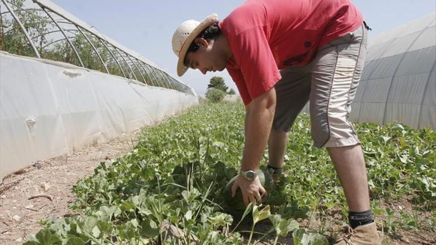 La superficie ecológica crece un 5% y se sitúa en 2,35 millones de hectáreas