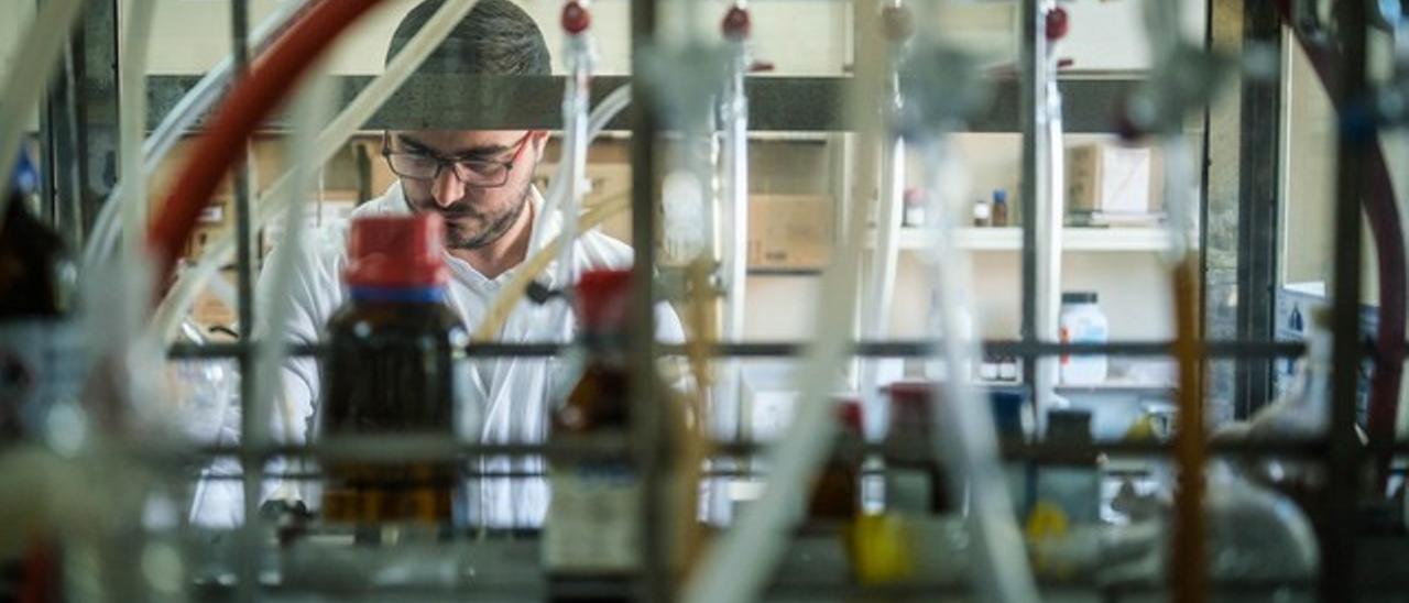 Un joven investigador del Instituto de Productos Naturales y Agrobiología en uno de sus laboratorios