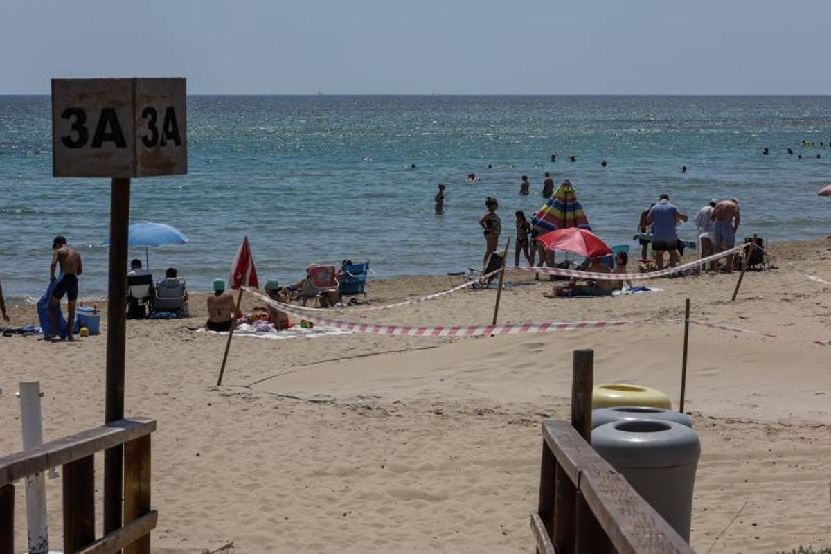 Zona acotada en la playa del Carabassí donde se implantaría un chiringuito