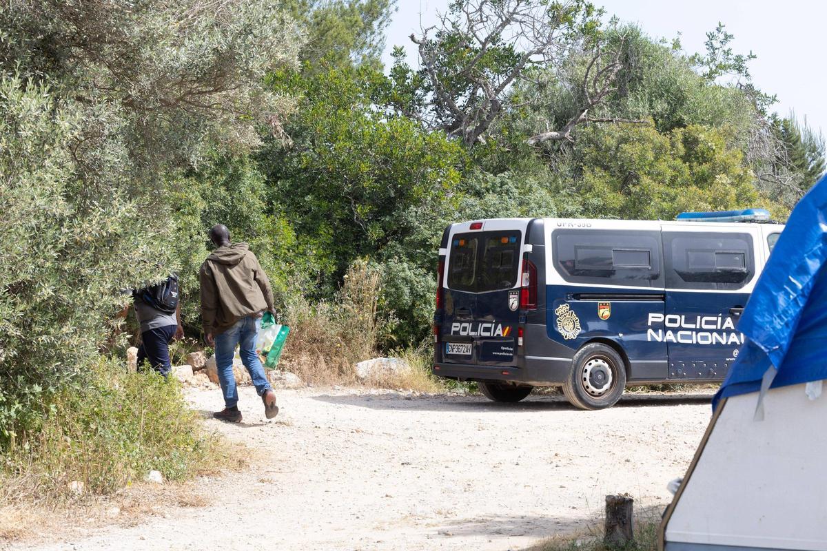 Mira aquí todas las imagenes del último desalojo del asentamiento chabolista entre el estadio Palladium Can Misses y el segundo cinturón de ronda