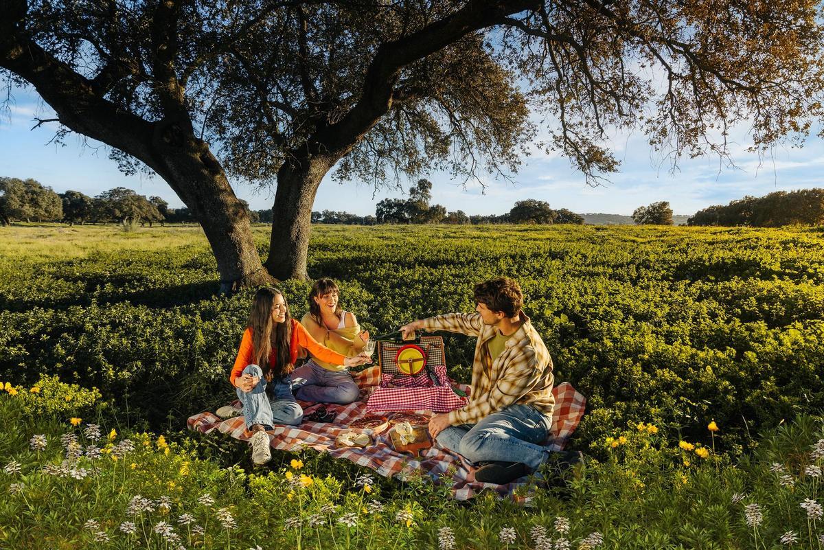 Picnic en la dehesa.