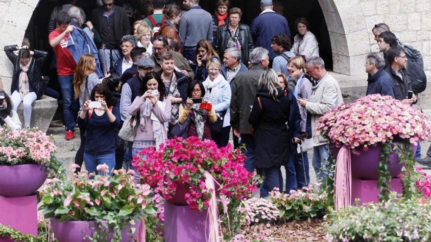 Un viver s&#039;ofereix per subministrar les flors i plantes de Temps de Flors