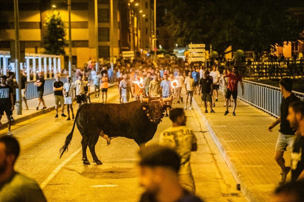 Imagen de uno de los encierros de toros embolados de este verano en Sagunt.