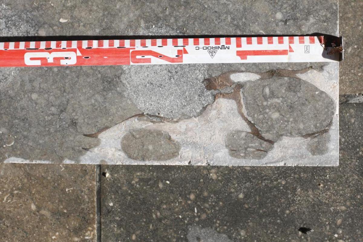 Retiren un fòssil descobert en un carrer de Girona