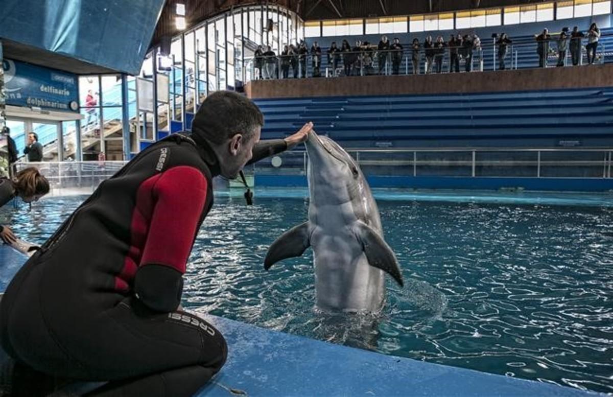 abertran33225396 barcelona 2016  03 18  barcelona el zoo de barcelo160327175500