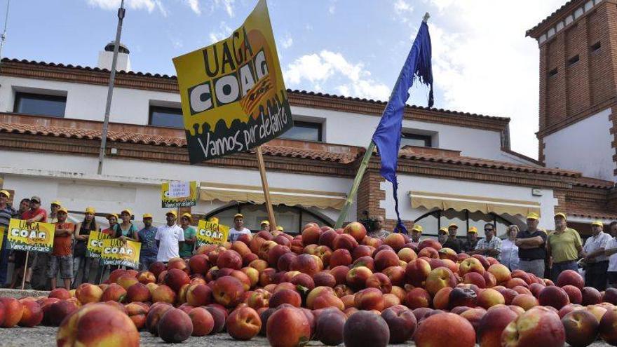 Las organizaciones agrarias exigen retirar la fruta &quot;ya&quot;