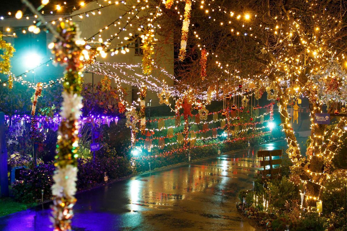 Iluminación en el Jardín de Molleda