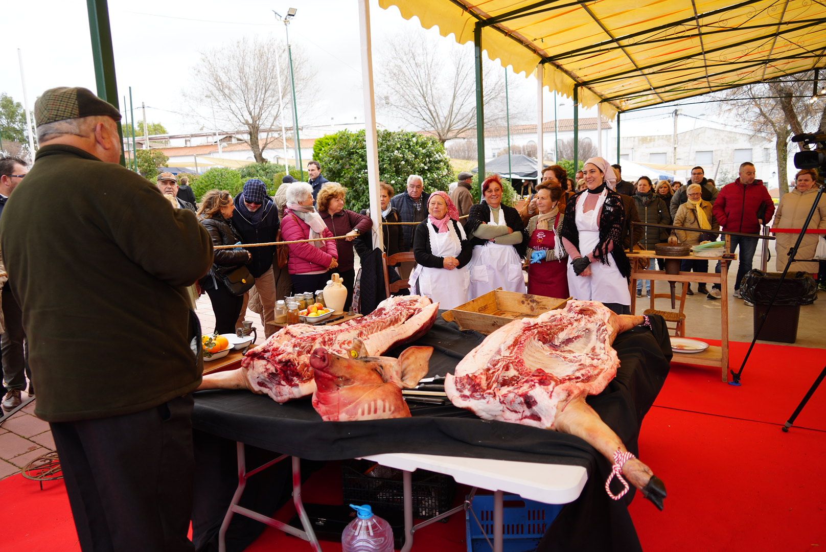 La Fiesta de la Matanza de Villanueva de Córdoba, en imágenes