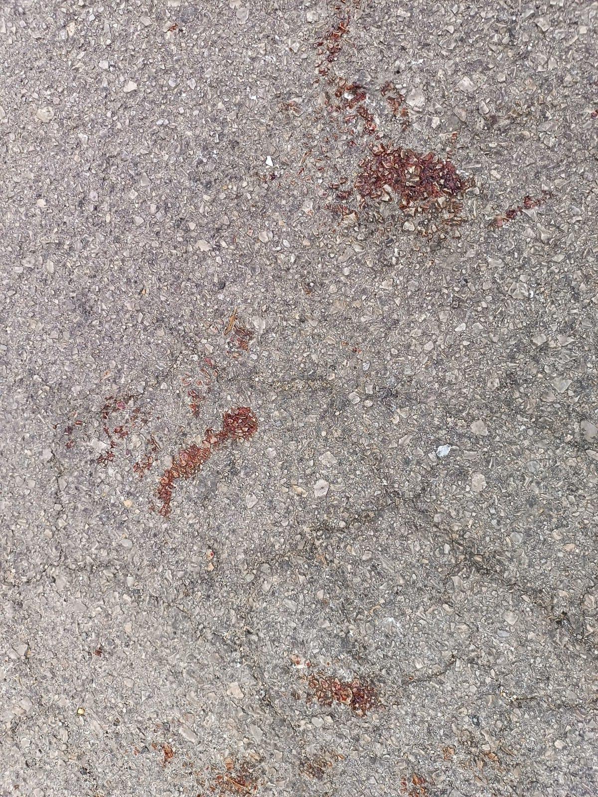 Restos de sangre en la calle Filadora de Sóller tras el apuñalamiento.