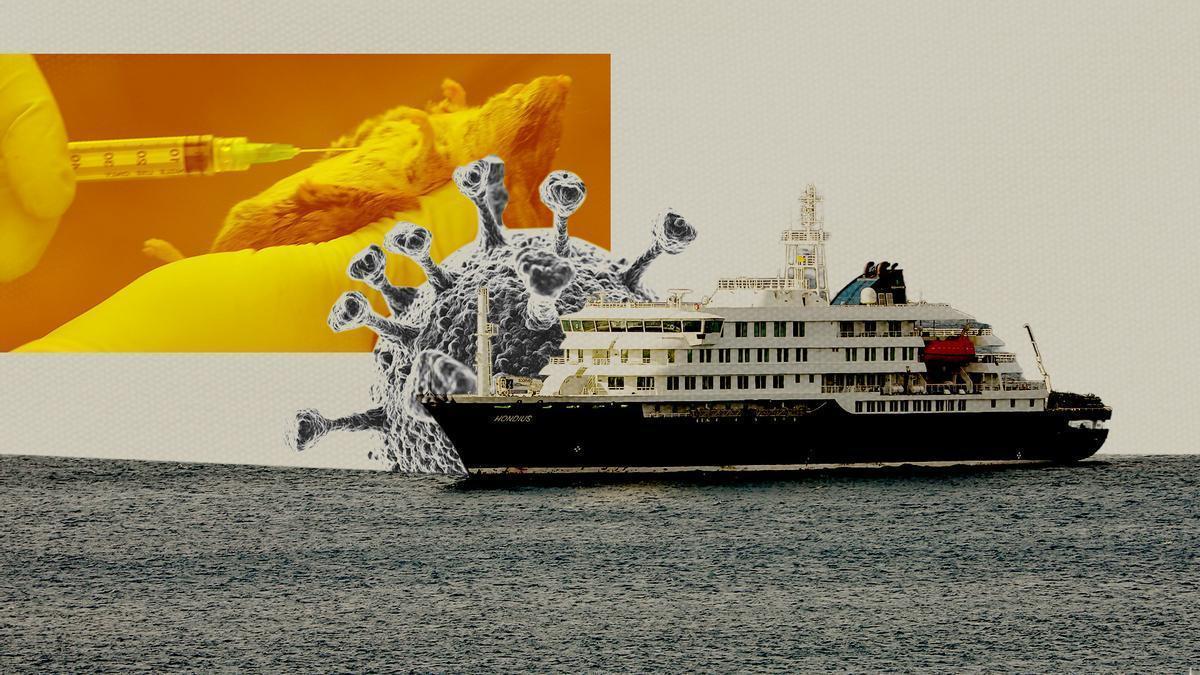 ¿Qué es el Hantavirus? La enfermedad que ha causado la muerte a tres personas en un crucero por el Atlántico